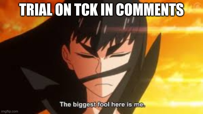 The biggest fool here is me | TRIAL ON TCK IN COMMENTS | image tagged in the biggest fool here is me | made w/ Imgflip meme maker