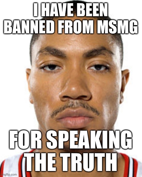 Derrick Rose Straight Face | I HAVE BEEN BANNED FROM MSMG; FOR SPEAKING THE TRUTH | image tagged in derrick rose straight face | made w/ Imgflip meme maker