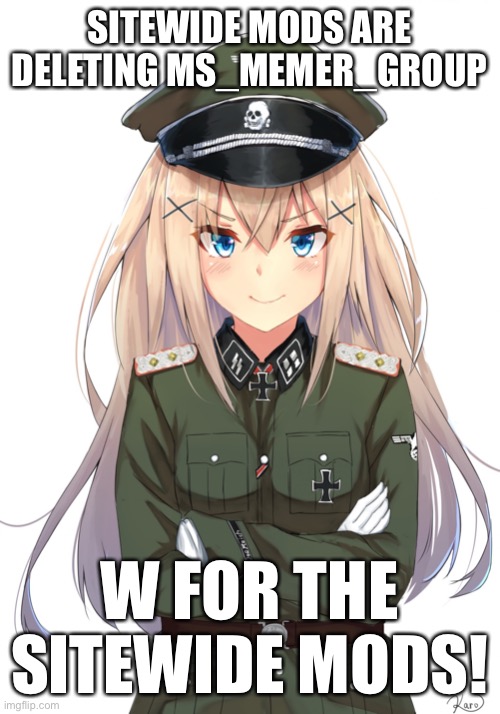 SITEWIDE MODS ARE DELETING MS_MEMER_GROUP; W FOR THE SITEWIDE MODS! | image tagged in anime reich officer | made w/ Imgflip meme maker