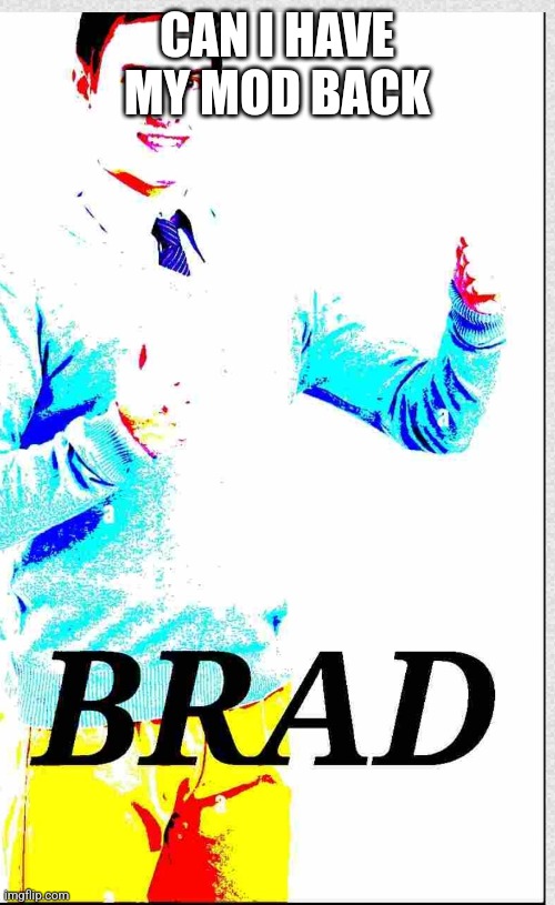 Brad | CAN I HAVE MY MOD BACK | image tagged in brad | made w/ Imgflip meme maker