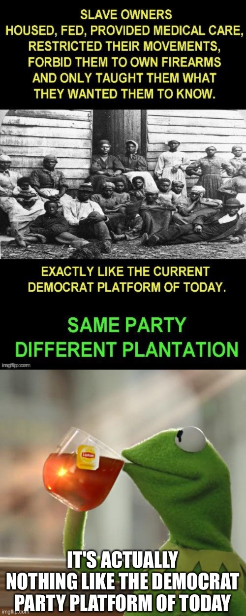 IT'S ACTUALLY NOTHING LIKE THE DEMOCRAT PARTY PLATFORM OF TODAY | image tagged in memes,but that's none of my business | made w/ Imgflip meme maker