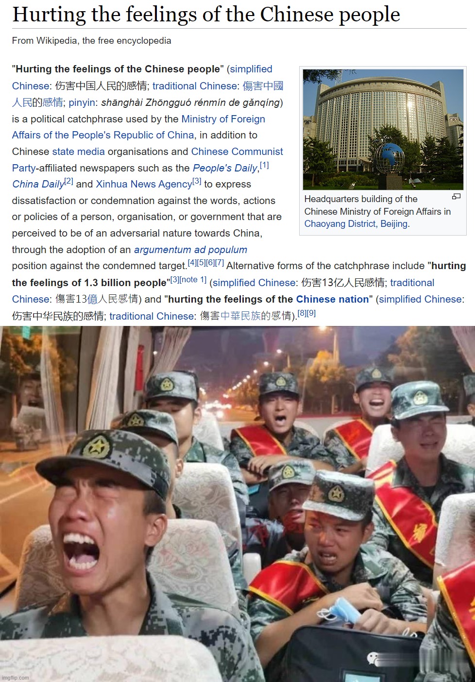 Other Countries: "Hurting the Feelings of the Chinese People" since 1959. | image tagged in hurting the feelings of the chinese people,crybaby chinese soldiers,china,crybabies,crybullies,propaganda | made w/ Imgflip meme maker