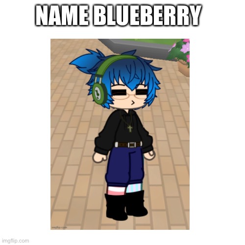 Thank you now I have one lol | NAME BLUEBERRY | made w/ Imgflip meme maker