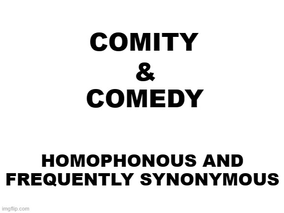 wirdplei | COMITY; &; COMEDY; HOMOPHONOUS AND FREQUENTLY SYNONYMOUS | image tagged in blank white template | made w/ Imgflip meme maker