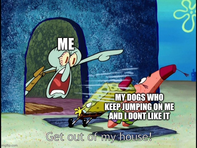 is this relatable? | ME; MY DOGS WHO KEEP JUMPING ON ME AND I DONT LIKE IT; Get out of my house! | image tagged in squidward screaming,spongebob,patrick,spongebob squarepants | made w/ Imgflip meme maker