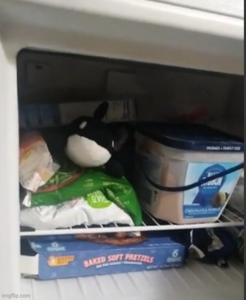 Oh orca of the fridge, what is your wisdom | made w/ Imgflip meme maker