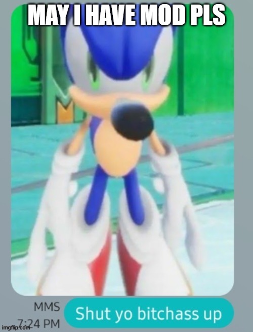 goofy ahh hedgehog | MAY I HAVE MOD PLS | image tagged in goofy ahh hedgehog | made w/ Imgflip meme maker