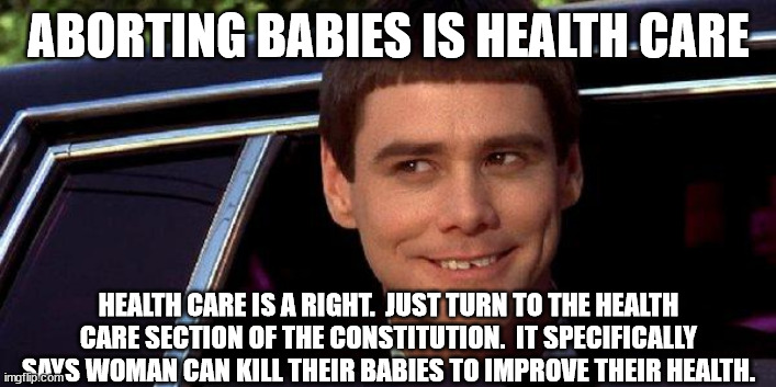 dumb and dumber | ABORTING BABIES IS HEALTH CARE HEALTH CARE IS A RIGHT.  JUST TURN TO THE HEALTH CARE SECTION OF THE CONSTITUTION.  IT SPECIFICALLY SAYS WOMA | image tagged in dumb and dumber | made w/ Imgflip meme maker