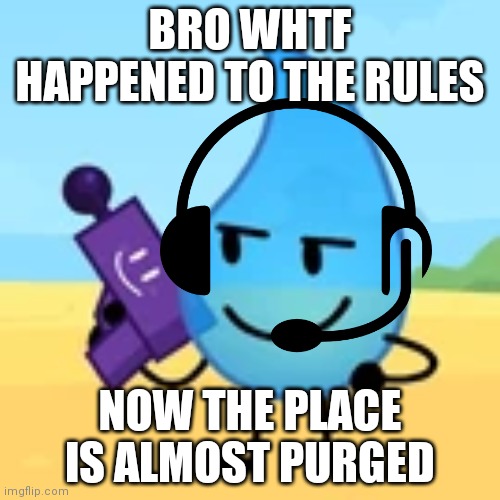 teardrop gaming | BRO WHTF HAPPENED TO THE RULES; NOW THE PLACE IS ALMOST PURGED | image tagged in teardrop gaming | made w/ Imgflip meme maker