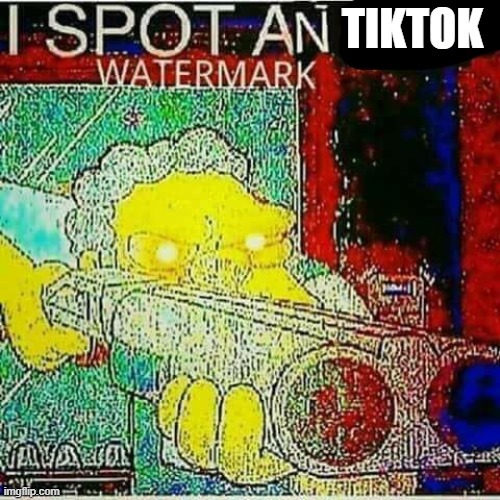 I SPOT AN x WATERMARK | TIKTOK | image tagged in i spot an x watermark | made w/ Imgflip meme maker