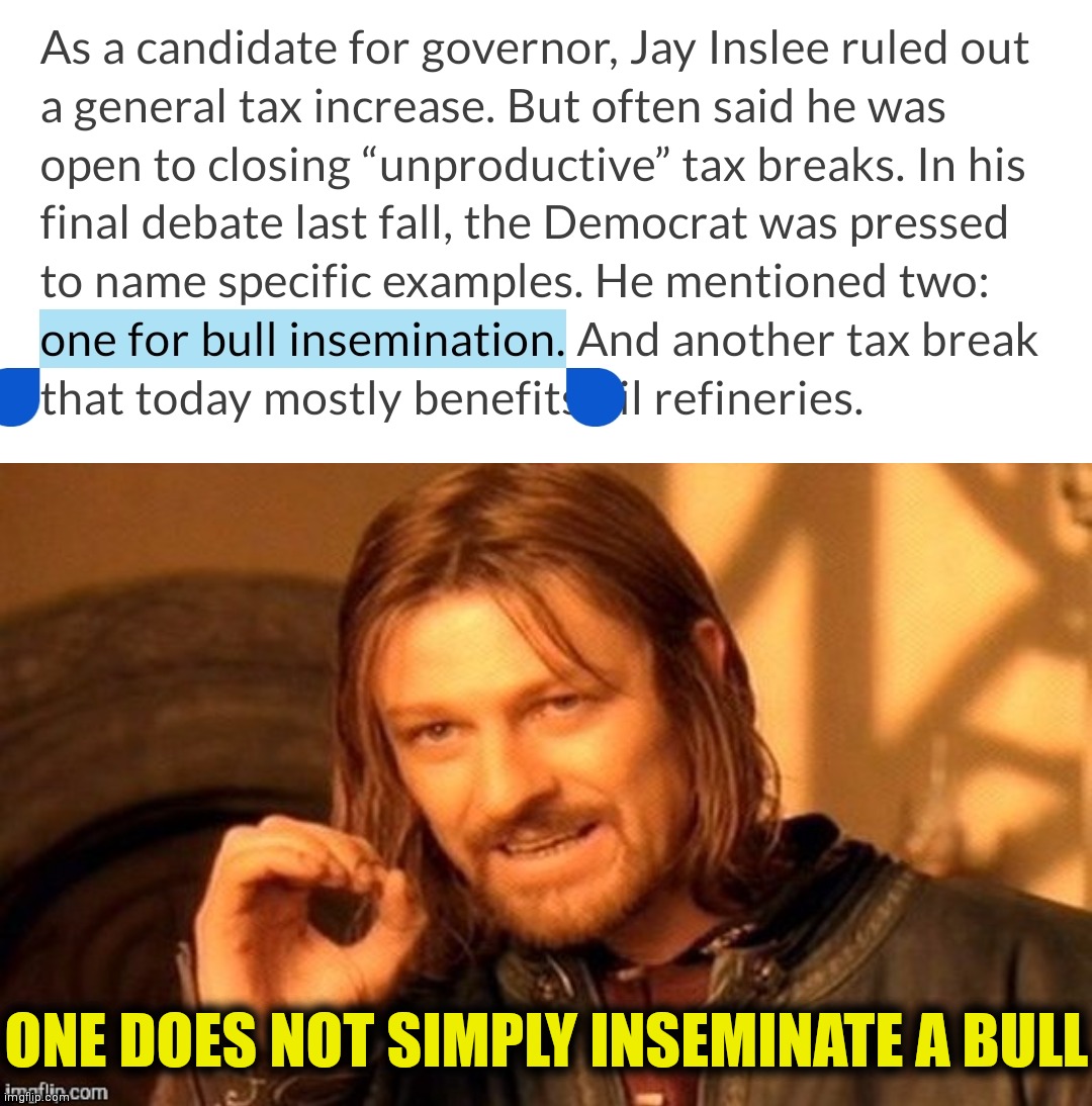 ONE DOES NOT SIMPLY INSEMINATE A BULL | made w/ Imgflip meme maker