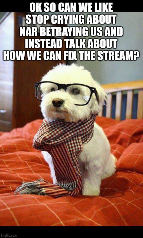 Intelligent Dog Meme | OK SO CAN WE LIKE STOP CRYING ABOUT NAR BETRAYING US AND INSTEAD TALK ABOUT HOW WE CAN FIX THE STREAM? | image tagged in memes,intelligent dog | made w/ Imgflip meme maker