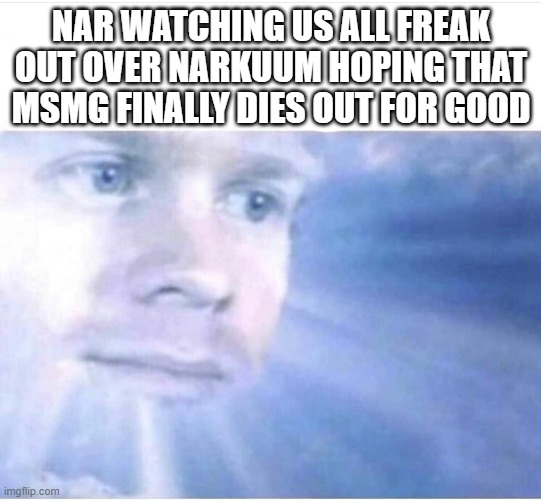 God watching | NAR WATCHING US ALL FREAK OUT OVER NARKUUM HOPING THAT MSMG FINALLY DIES OUT FOR GOOD | image tagged in god watching | made w/ Imgflip meme maker