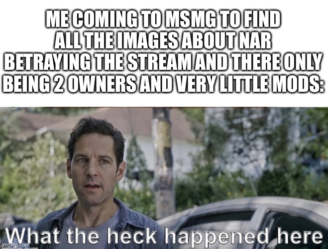 What The Heck Happened Here? Oh Look, Only The Three Average Rules, AND THE DESC! It’s So Short | ME COMING TO MSMG TO FIND ALL THE IMAGES ABOUT NAR BETRAYING THE STREAM AND THERE ONLY BEING 2 OWNERS AND VERY LITTLE MODS: | image tagged in antman what the heck happened here | made w/ Imgflip meme maker