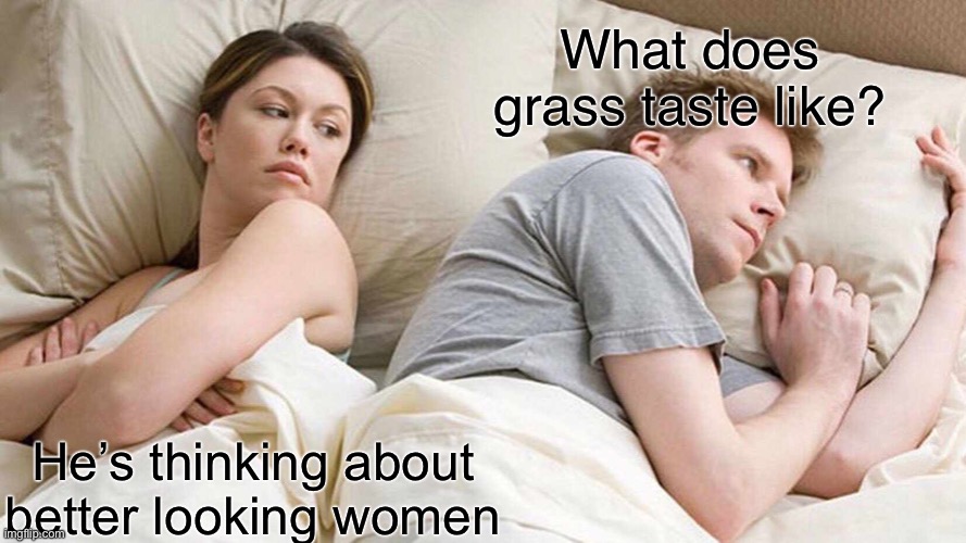 I Bet He's Thinking About Other Women | What does grass taste like? He’s thinking about better looking women | image tagged in memes,i bet he's thinking about other women | made w/ Imgflip meme maker