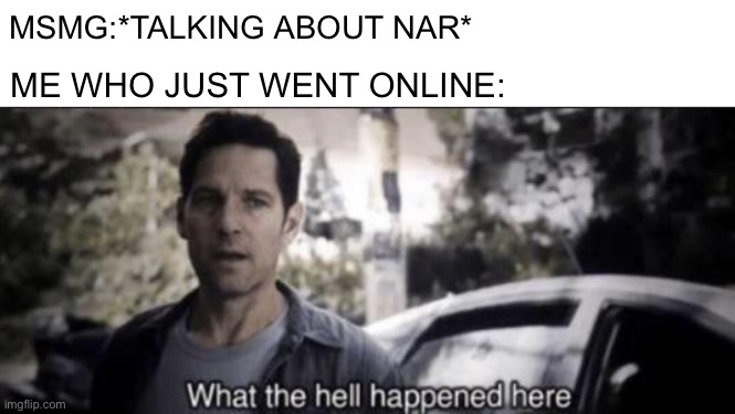 What the hell happened here | MSMG:*TALKING ABOUT NAR*; ME WHO JUST WENT ONLINE: | image tagged in what the hell happened here | made w/ Imgflip meme maker