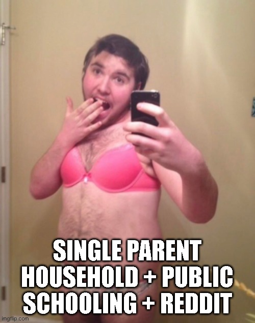 Sissy exposed | SINGLE PARENT HOUSEHOLD + PUBLIC SCHOOLING + REDDIT | image tagged in sissy exposed | made w/ Imgflip meme maker