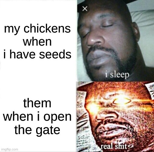 minecraft  meme | my chickens when i have seeds; them when i open the gate | image tagged in memes,sleeping shaq | made w/ Imgflip meme maker