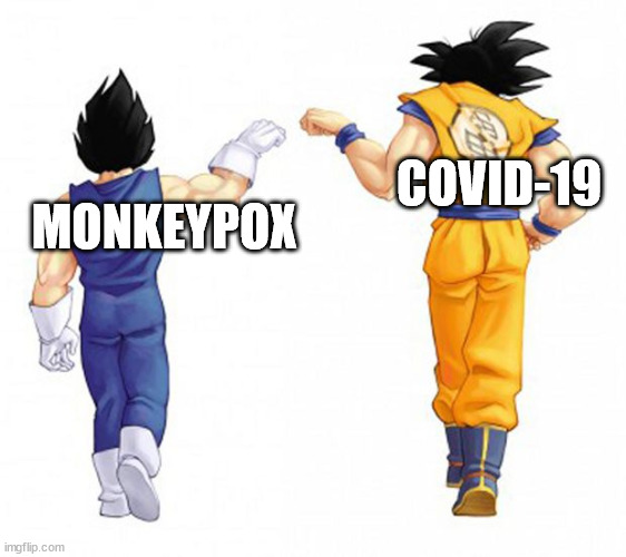 The dream team we always wanted in the manga but not in real life. | MONKEYPOX; COVID-19 | image tagged in goku and vegeta | made w/ Imgflip meme maker