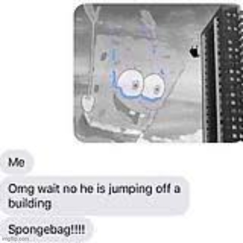 spongebag no | made w/ Imgflip meme maker