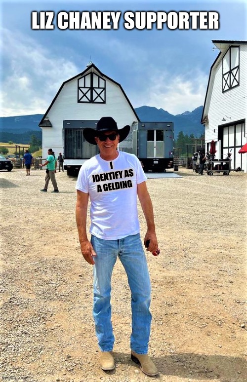 Mr. Hollywood shows up in Wyoming in costume… | LIZ CHANEY SUPPORTER; I IDENTIFY AS A GELDING | image tagged in kevin costner for liz cheney | made w/ Imgflip meme maker