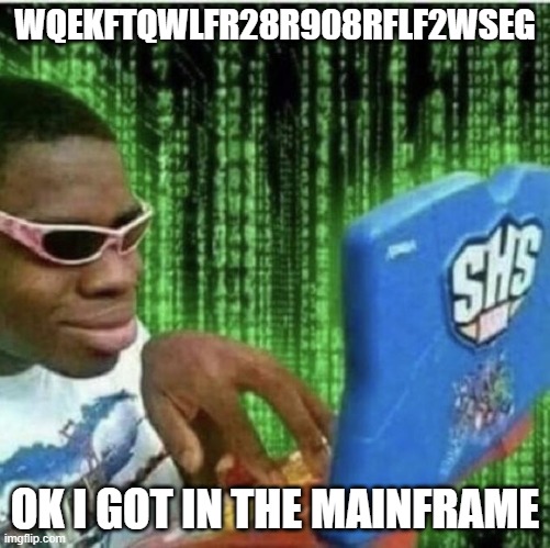 Ryan Beckford | WQEKFTQWLFR28R908RFLF2WSEG OK I GOT IN THE MAINFRAME | image tagged in ryan beckford | made w/ Imgflip meme maker