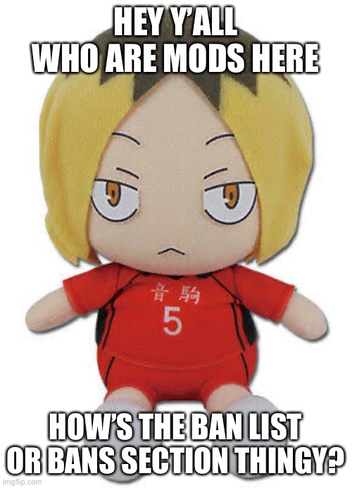 Are they got removed entierly? | HEY Y’ALL WHO ARE MODS HERE; HOW’S THE BAN LIST OR BANS SECTION THINGY? | image tagged in chonk kenma | made w/ Imgflip meme maker