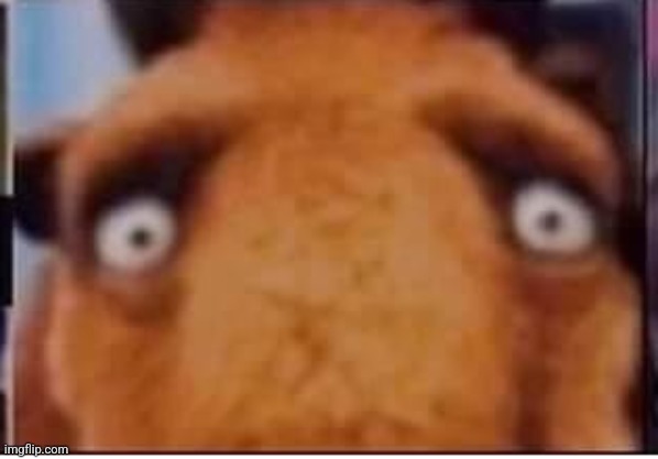 Mfw everyone that was banned from msmg is now unbanned | made w/ Imgflip meme maker
