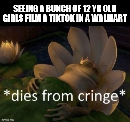 Dies from cringe | SEEING A BUNCH OF 12 YR OLD GIRLS FILM A TIKTOK IN A WALMART | image tagged in dies from cringe | made w/ Imgflip meme maker