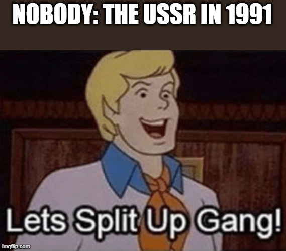 LeTs SpLiT uP gAnG | NOBODY: THE USSR IN 1991 | image tagged in let s split up hang | made w/ Imgflip meme maker