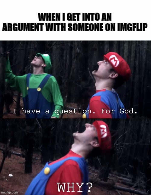 I have a question. For God | WHEN I GET INTO AN ARGUMENT WITH SOMEONE ON IMGFLIP | image tagged in i have a question for god | made w/ Imgflip meme maker