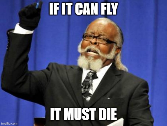 i jus thought of this | IF IT CAN FLY; IT MUST DIE | image tagged in memes,too damn high | made w/ Imgflip meme maker