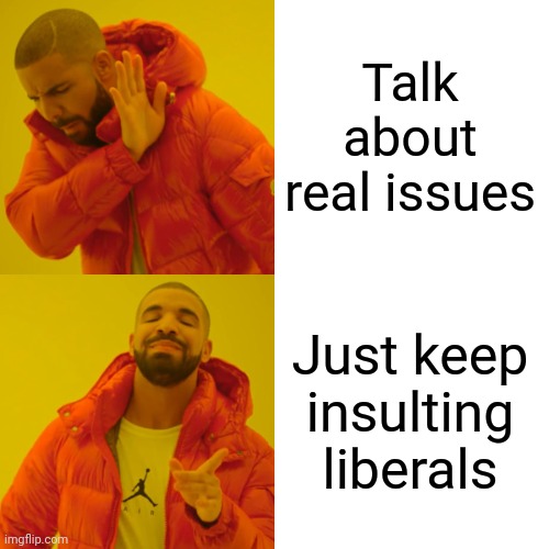 This is where I'd put my intelligent thoughts...if I had any! | Talk about real issues; Just keep insulting liberals | image tagged in memes,drake hotline bling,conservatives,republicans,internet trolls | made w/ Imgflip meme maker