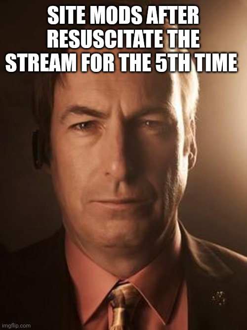 Saul Goodman | SITE MODS AFTER RESUSCITATE THE STREAM FOR THE 5TH TIME | image tagged in saul goodman | made w/ Imgflip meme maker