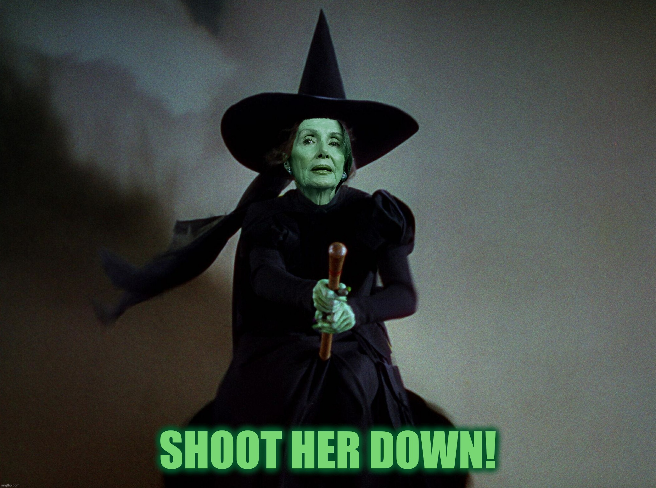 SHOOT HER DOWN! | made w/ Imgflip meme maker