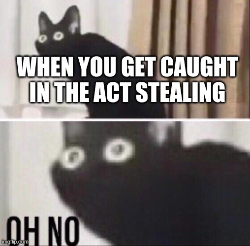 oh hell naw | WHEN YOU GET CAUGHT IN THE ACT STEALING | image tagged in oh no cat | made w/ Imgflip meme maker