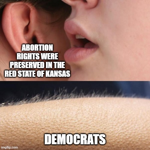 Guess That's a Win? | ABORTION RIGHTS WERE PRESERVED IN THE RED STATE OF KANSAS; DEMOCRATS | image tagged in whisper and goosebumps | made w/ Imgflip meme maker