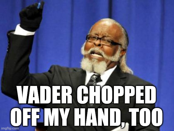 Who else wears gloves indoors? | VADER CHOPPED OFF MY HAND, TOO | image tagged in memes,too damn high,star wars,darth vader | made w/ Imgflip meme maker