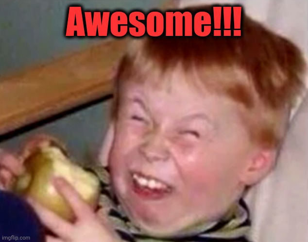 Sarcastic laughing kid | Awesome!!! | image tagged in sarcastic laughing kid | made w/ Imgflip meme maker