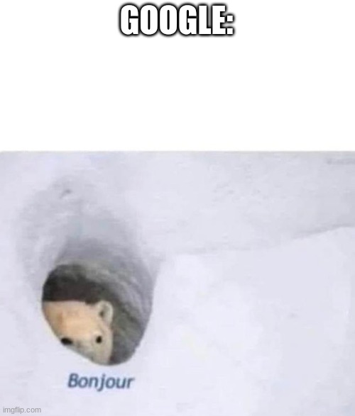 Bonjour | GOOGLE: | image tagged in bonjour | made w/ Imgflip meme maker