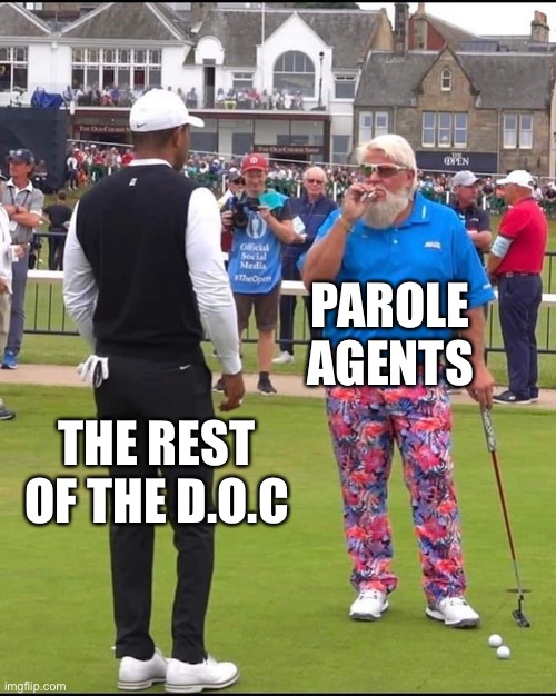 John Daly and Tiger Woods | THE REST OF THE D.O.C PAROLE AGENTS | image tagged in john daly and tiger woods | made w/ Imgflip meme maker