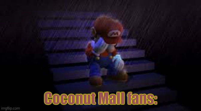 Sad mario | Coconut Mall fans: | image tagged in sad mario | made w/ Imgflip meme maker
