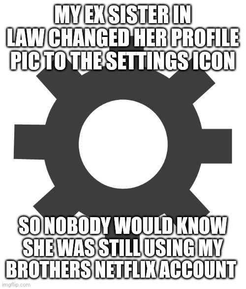MY EX SISTER IN LAW CHANGED HER PROFILE PIC TO THE SETTINGS ICON; SO NOBODY WOULD KNOW SHE WAS STILL USING MY BROTHERS NETFLIX ACCOUNT | image tagged in funny memes | made w/ Imgflip meme maker