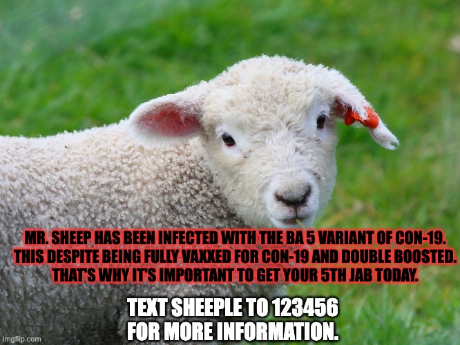 Sheeple |  MR. SHEEP HAS BEEN INFECTED WITH THE BA 5 VARIANT OF CON-19.
THIS DESPITE BEING FULLY VAXXED FOR CON-19 AND DOUBLE BOOSTED.
THAT'S WHY IT'S IMPORTANT TO GET YOUR 5TH JAB TODAY. TEXT SHEEPLE TO 123456 FOR MORE INFORMATION. | image tagged in covid-19,vaccine,sheeple | made w/ Imgflip meme maker