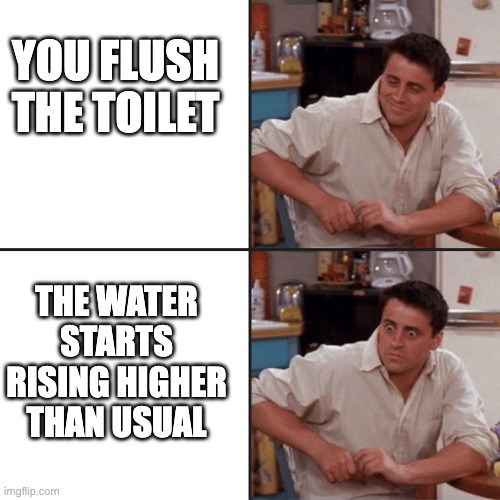 Flushing The Toilet Be Like | YOU FLUSH THE TOILET; THE WATER STARTS RISING HIGHER THAN USUAL | image tagged in delayed reaction joey,fun,memes | made w/ Imgflip meme maker
