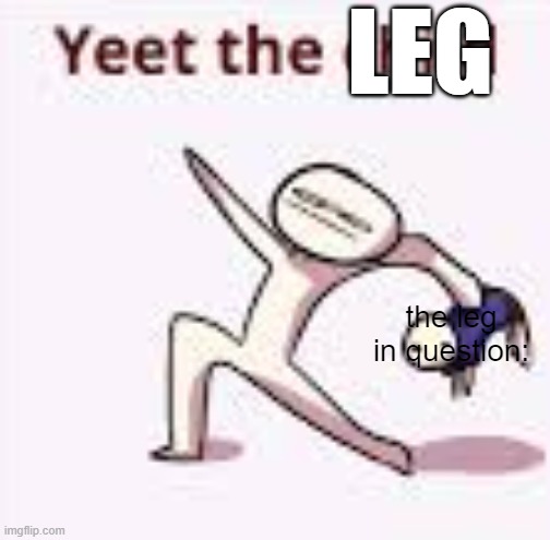 single yeet the child panel | LEG the leg in question: | image tagged in single yeet the child panel | made w/ Imgflip meme maker