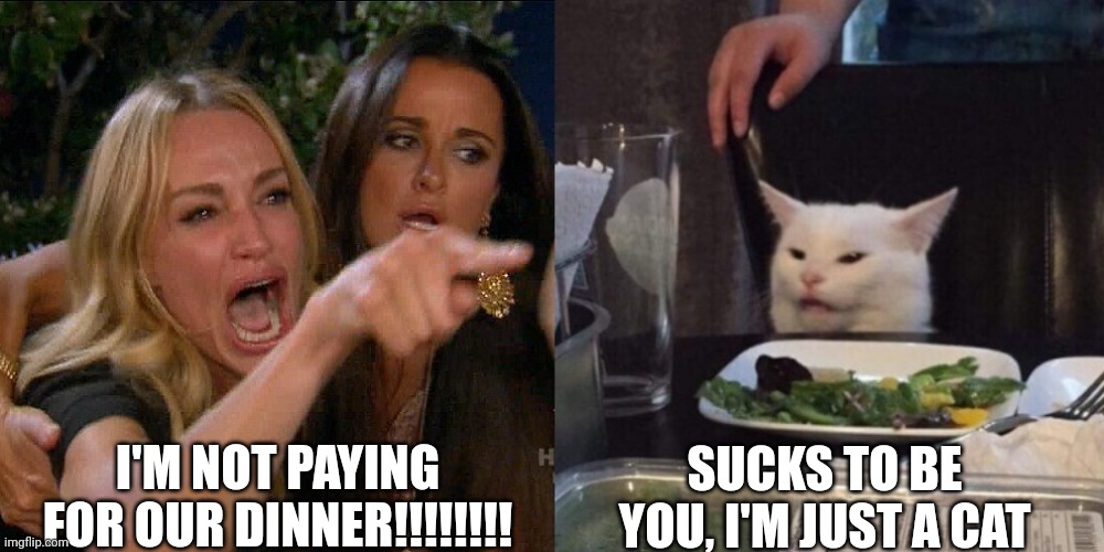 Woman yelling at cat | I'M NOT PAYING FOR OUR DINNER!!!!!!!! SUCKS TO BE YOU, I'M JUST A CAT | image tagged in woman yelling at cat | made w/ Imgflip meme maker