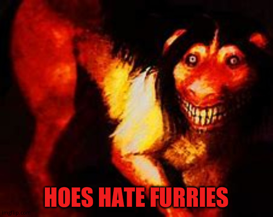 Smile dog | HOES HATE FURRIES | image tagged in smile dog | made w/ Imgflip meme maker