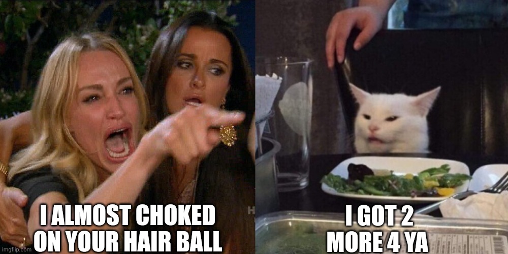 Woman yelling at cat | I ALMOST CHOKED ON YOUR HAIR BALL; I GOT 2 MORE 4 YA | image tagged in woman yelling at cat | made w/ Imgflip meme maker