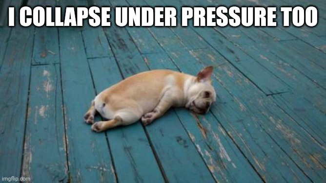 tired dog | I COLLAPSE UNDER PRESSURE TOO | image tagged in tired dog | made w/ Imgflip meme maker